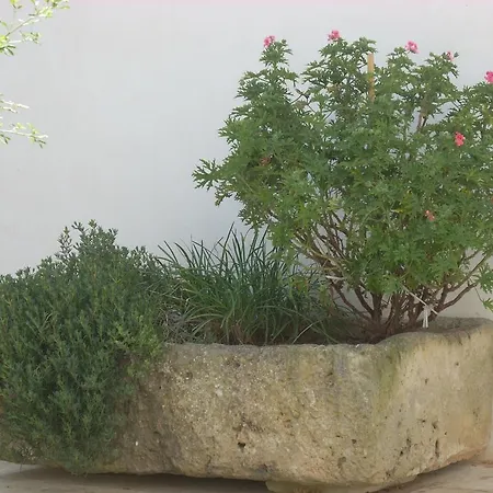 Bed & Breakfast Le Due Corti Martignano