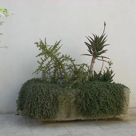 Le Due Corti Martignano